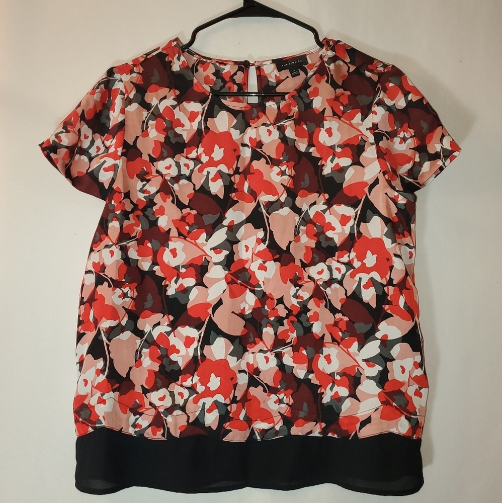 "The Limited" Dress up blouse💃